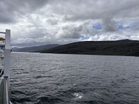 Northern Minch