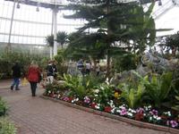 People`s Palace