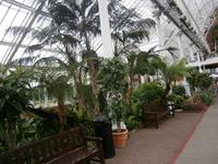 People`s Palace