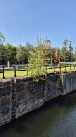 Rosebank Distillery