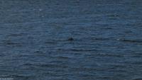 Rundreise Schottland - Eberhardt-Travel - -0808B