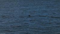 Rundreise Schottland - Eberhardt-Travel - -0808C