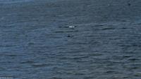 Rundreise Schottland - Eberhardt-Travel - -0808D