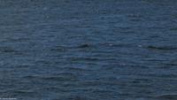 Rundreise Schottland - Eberhardt-Travel - -0808E