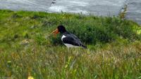 Rundreise Schottland - Eberhardt-Travel - -0810B
