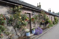 Rundreise Schottland - Eberhardt-Travel - Loch Lomond - Luss