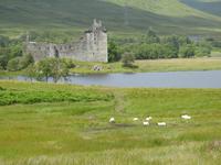 Schottland