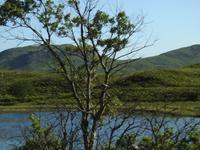Schottland