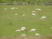 Schottland