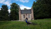 Scone Palace