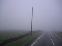 Scottish Mist