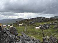 Sutherland