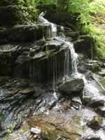 Wanderung zu den Birks of Aberfeldy