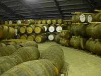 Whisky-Lager Edradour