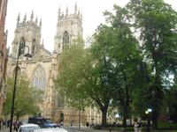 York - Münster