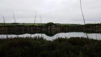 am Hadrianswall 20180603 123907