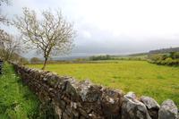 am Hadrianswall