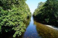 bei Luss