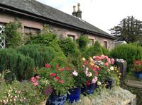 in Luss