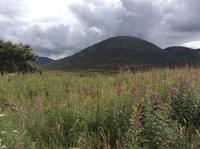 in den Highlands
