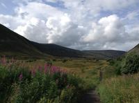 in den Highlands