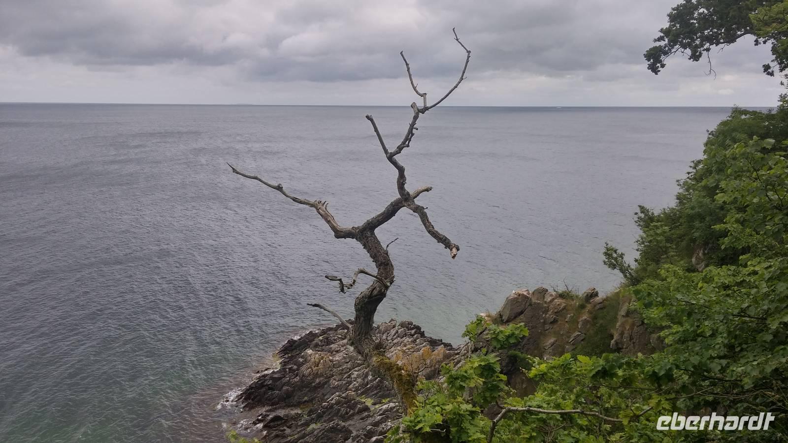 Helligdomklippen auf Bornholm