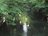 Abendstimmung in Frederiksdal