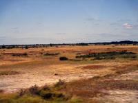 Die Steppe Stora Alvaret