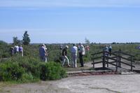 Südliches Öland - Stora Alvaret