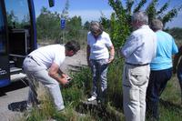 Südliches Öland - Stora Alvaret