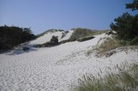 Bornholm - Strand von Dueodde
