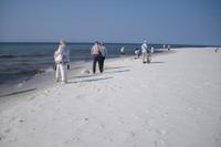 Bornholm - Strand von Dueodde