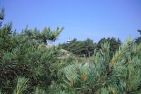 Bornholm - Dueodde - Leuchtturm