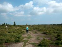 Rundfahrt auf der Insel Öland