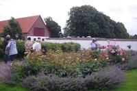 Bosjökloster / Schweden