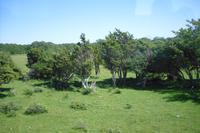 Rundfahrt auf Öland - Schweden