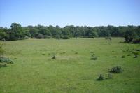 Rundfahrt auf Öland - Schweden