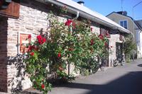 Rundfahrt auf Öland - Schweden (Borgholm)