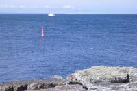 Ausflug zu den Erbseninseln