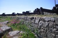 Ausflug zu den Erbseninseln - Christiansoe