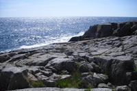 Ausflug zu den Erbseninseln - Christiansoe