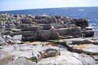 Ausflug zu den Erbseninseln - Christiansoe