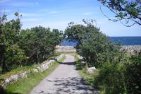 Ausflug zu den Erbseninseln - Christiansoe