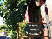 Bornholm, Gudjem (Feigenbaum!) 