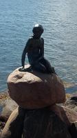 Kopenhagen Kleine Meerjungfrau