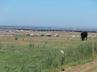 Insel Öland Südspitze