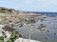 Bornholm Heiligtumsklippen