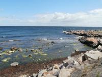 Bornholm Heiligtumsklippen