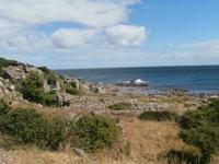 Bornholm Heiligtumsklippen