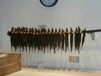 Heringsräucherei in Hasle